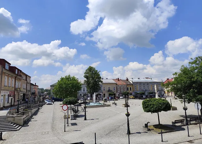Apartament Deluxe W Centrum Brzeska Nr 2