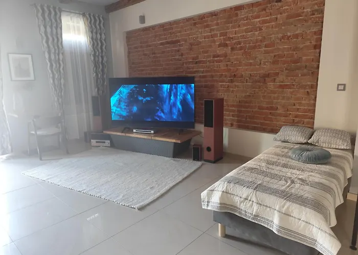Apartament Deluxe W Centrum Brzeska Nr 2