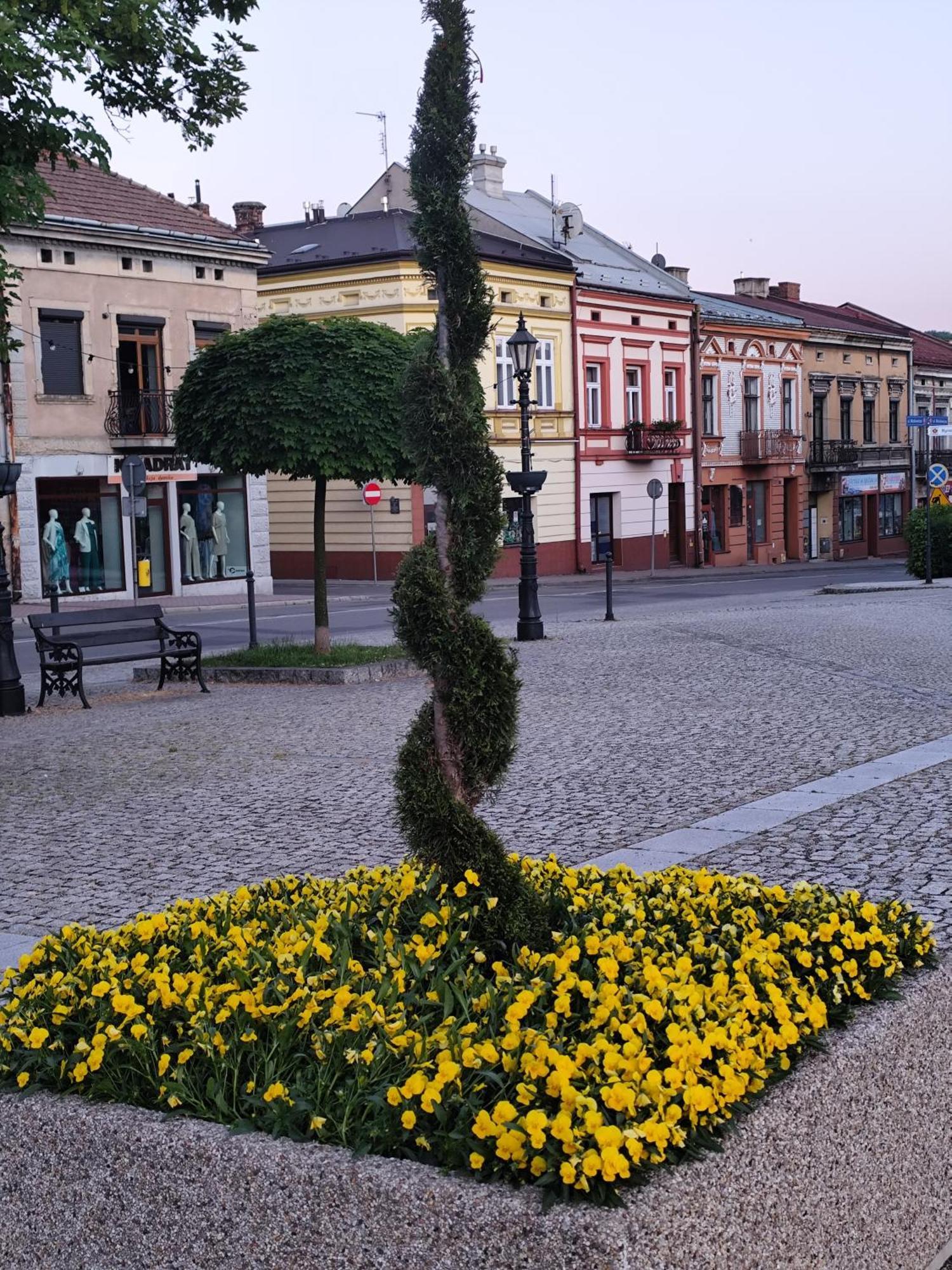Deluxe W Centrum Brzeska Nr 2 Appartamento Brzesko